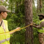 level 5 arborist sydney