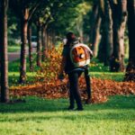 consulting arborist sydney