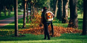 How to Choose the Right Consulting Arborist in Sydney