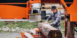 5 Questions You MUST Ask Before Booking Stump Grinding Services