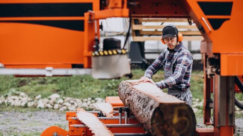5 Questions You MUST Ask Before Booking Stump Grinding Services