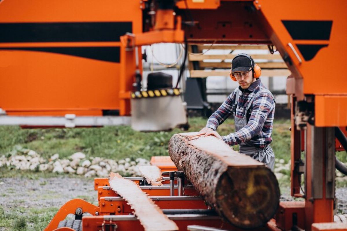 5 Questions You MUST Ask Before Booking Stump Grinding Services