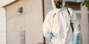 Fumigation Sydney: When Is It the Right Option?