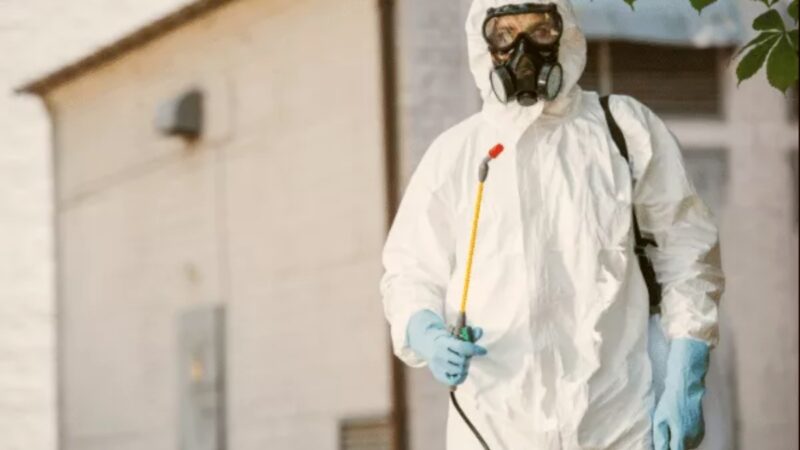 Fumigation Sydney: When Is It the Right Option?