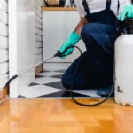 Mice Removal Sydney